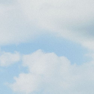 99成人毛片无码视频
